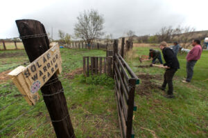Four men stand to the left of a wood fence. Two men are digging with pick axes through grass and soil. A sign in the foreground says Solar Warrior Farm.